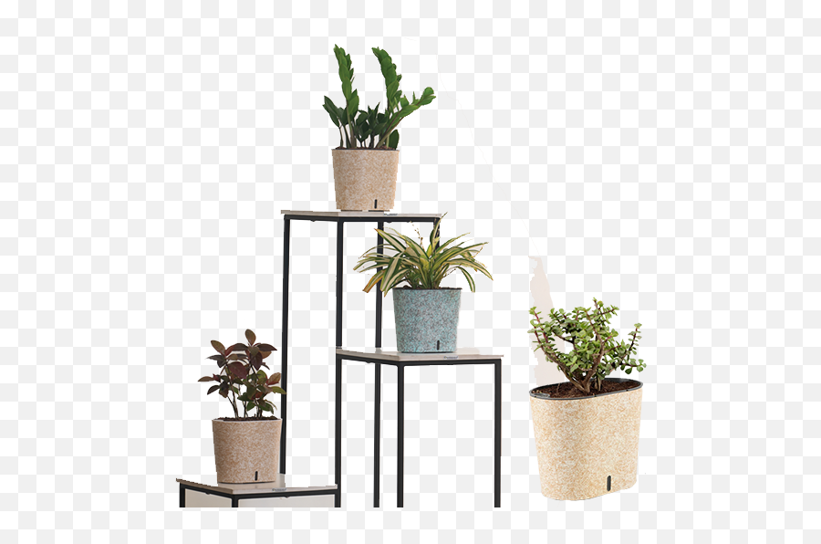 Gardencia Technology U2013 Wide Range Of Planters With Every - For Indoor Png,Cherry Mobile Omega Icon 4gb