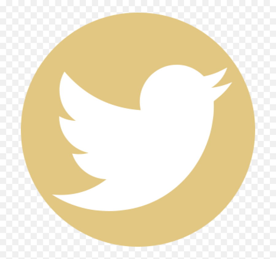 St Jerome Catholic Church - Twitter Sign Png,Gold Twitter Icon