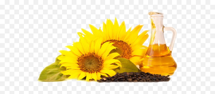 Sunflower Oil Png - Sunflower Oil Background Hd,Oil Png