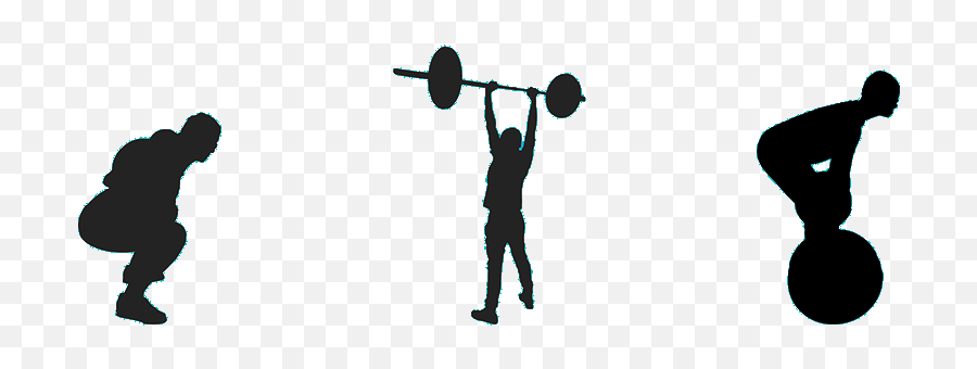 Barbell Training For Everyone Bay Strength - Weights Png,Female Fitness Icon