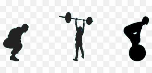 Barbell Training For Everyone Bay Strength - Weights png