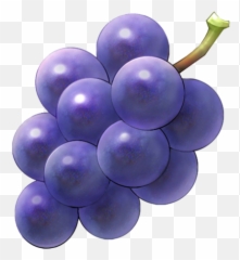 Download Purple Grapes Png - Purple Grape Png,Grapes Png