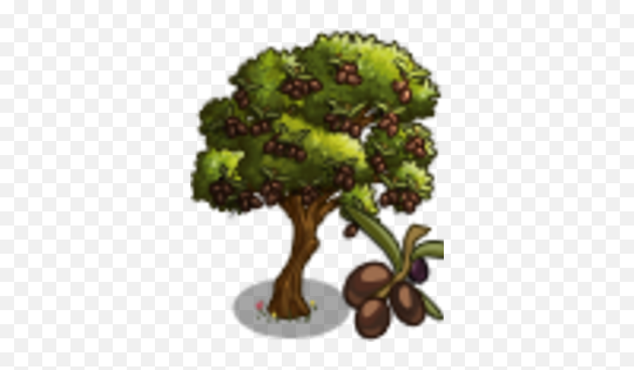 Koreneiki Olive Tree Farmville Wiki Fandom - Illustration Png,Olive Tree Png