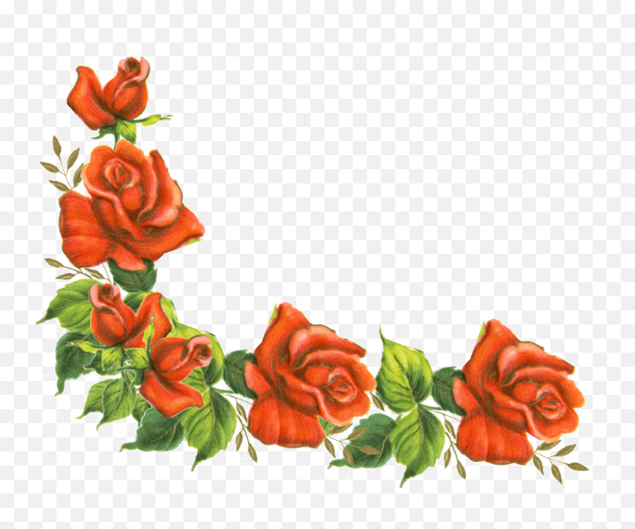 Clipart Roses Borders Transparent - Transparent Roses Border Clipart Png,Rose Border Transparent