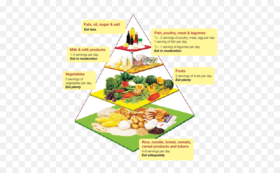 Download Your Nutrition Guide - Food Pyramid Malaysia 2018 Nutritional Requirements During Old Age Png,Food Pyramid Png