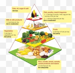 Download Your Nutrition Guide - Food Pyramid Malaysia 2018 Nutritional Requirements During Old Age Png,Food Pyramid Png