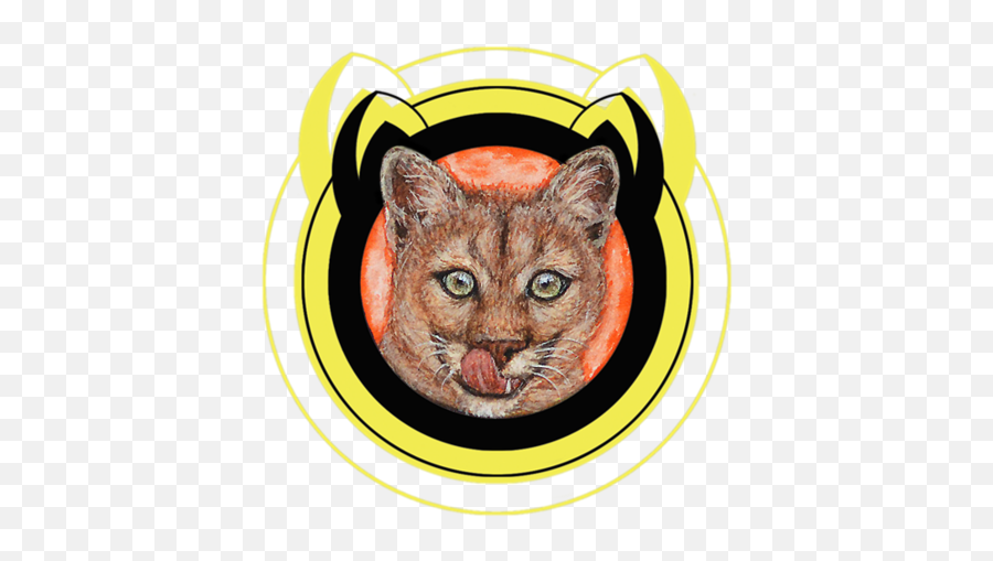 Animal Facts North America U2014 Torc The Cat - Domestic Cat Png,Cougar Png