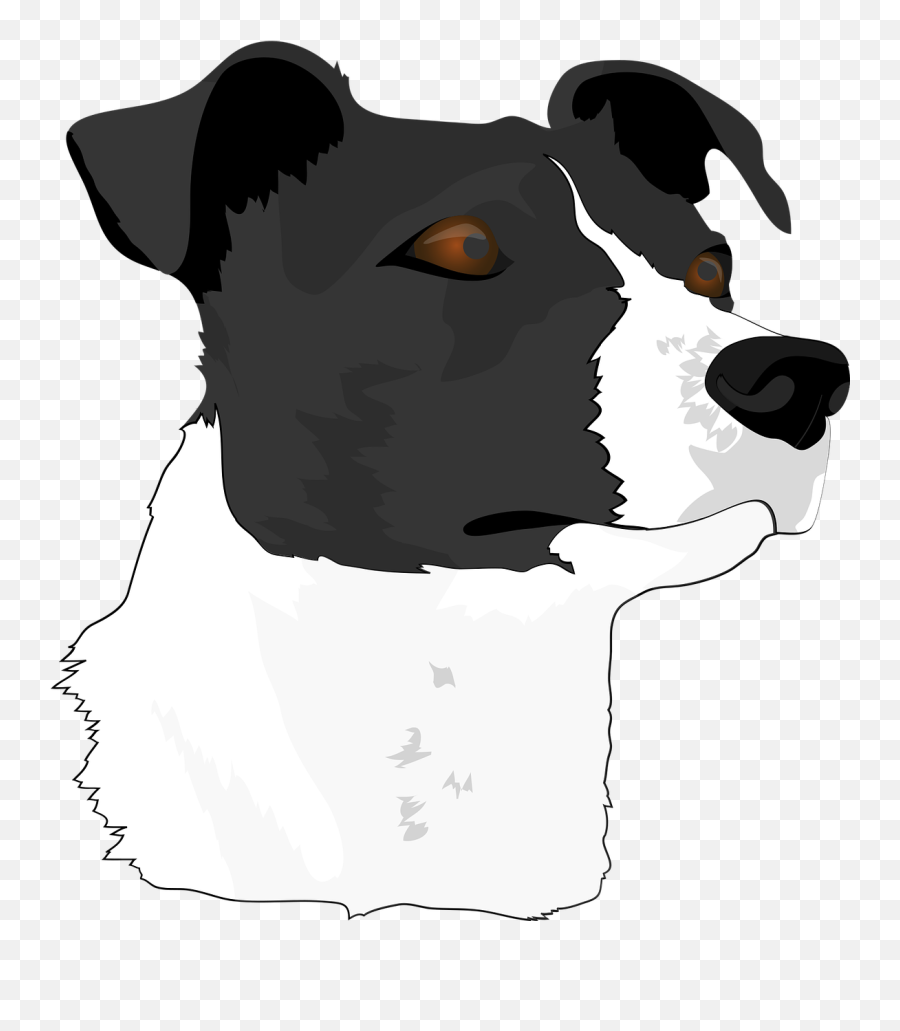 Dog Head Terrier Animal - Dog Png,Dog Head Png