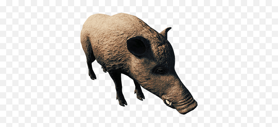 Boar - Official The Forest Wiki Find Boar In The Forest Png,Pigs Png