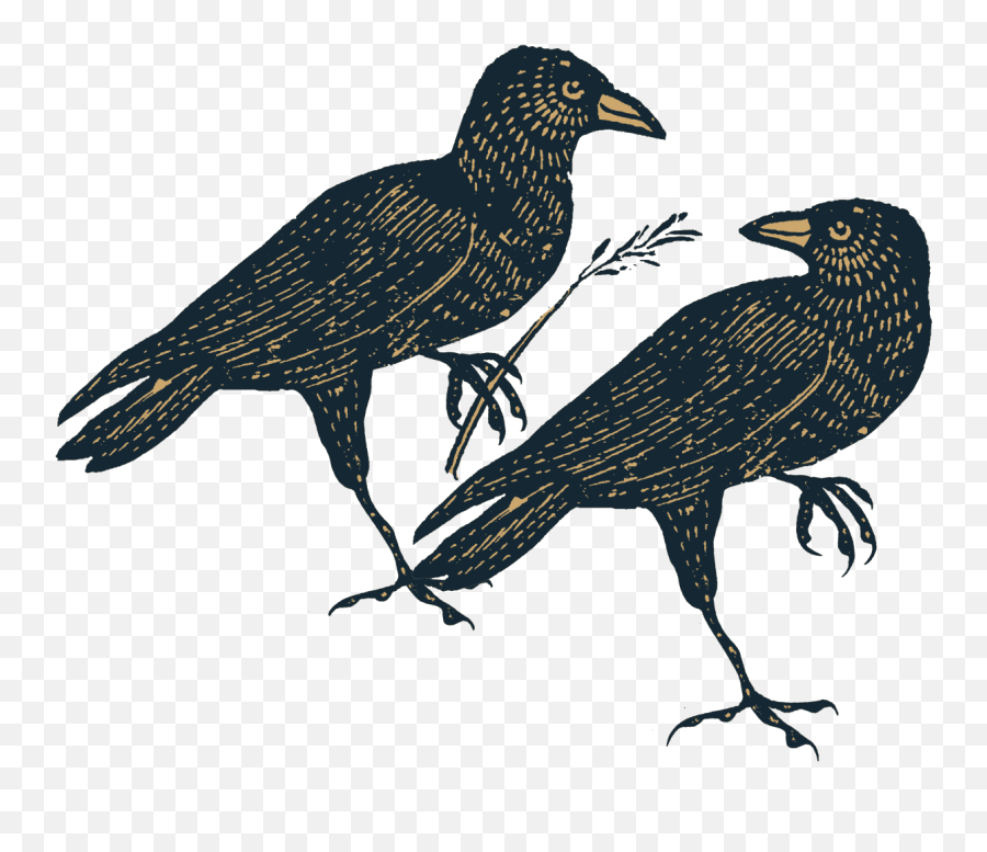 Home - Dancing Crow Vineyards American Crow Png,Crows Png