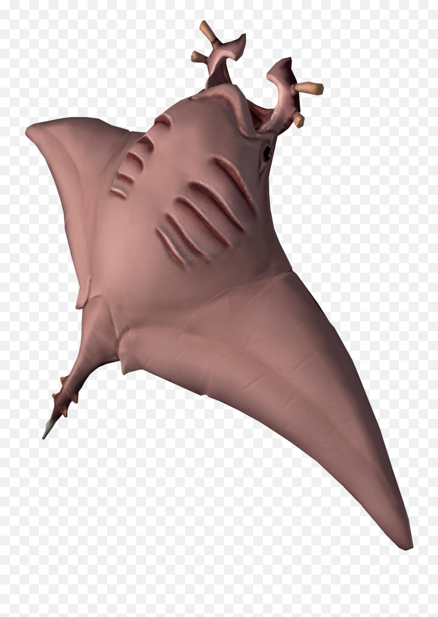 Manta Ray - Cooked Manta Ray Png,Manta Ray Png