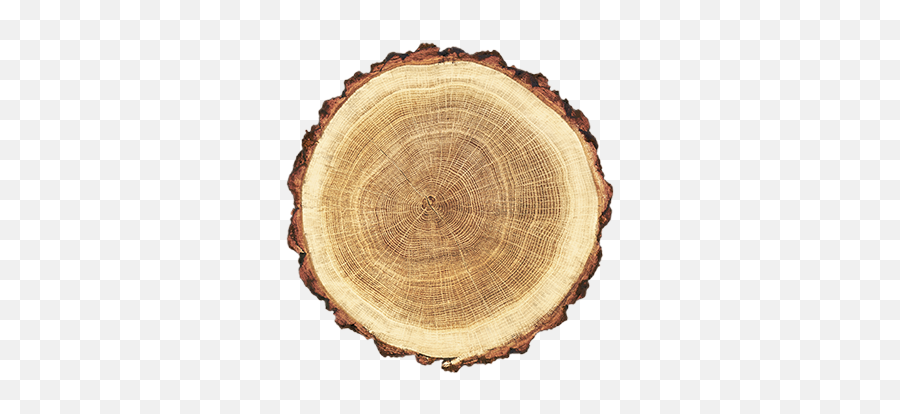 Carpentier Hardwood Solutions - Wood Circle Png,Piece Of Wood Png