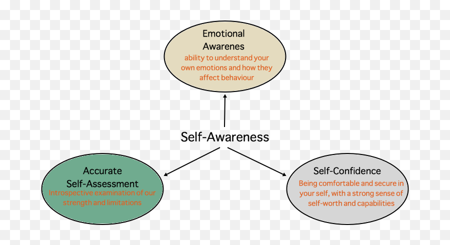 Jordan Peterson Personality Test Transparent Background - Self Awareness Leadership Emotional Intelligence Png,Jordan Transparent