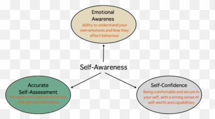 Jordan Peterson Personality Test Transparent Background - Self Awareness Leadership Emotional Intelligence Png,Jordan Transparent