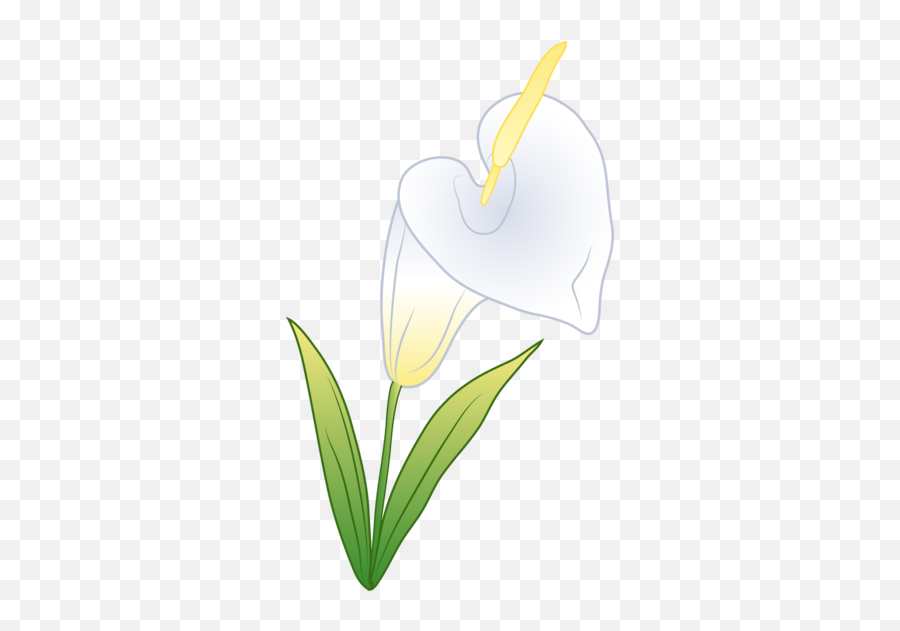 Single White Calla Lily Free Clip Art Image 26849 - Clip Art Png,White Lily Png