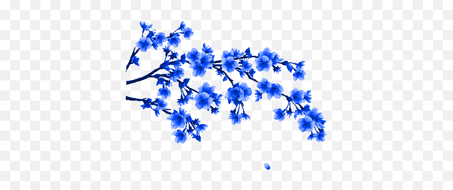 Blue Flower Branche Gif Bleu Fleur - Chinese Flower Drawing Png,Blue Flower Transparent