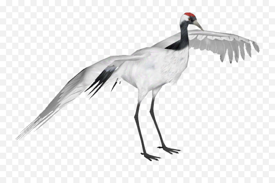 Download Red Crowned Crane - Red Crowned Crane Png Full Red Crowned Crane Png,Crane Png