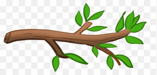 Module Lesson When Seeds - Stem Of Plant Png Cartoon Picture