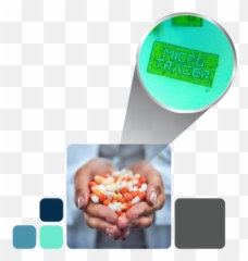 Pharmaceutical Track And Trace Securtracerscom United - Superfood Png,Tracer Png