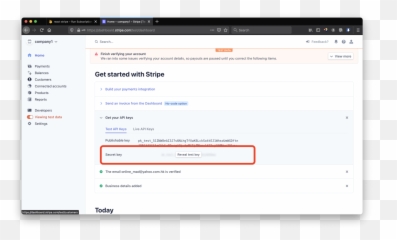 How To Use Stripe Payment With Firebase By Ckmobile - Vertical png