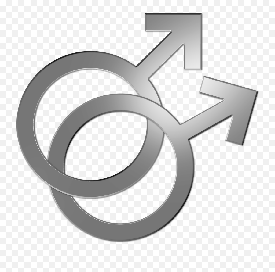 Gay Symbol Couple Marriage Lgbt Png Picpng Lgbtq Icon