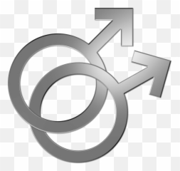 Gay Symbol Couple Marriage Lgbt Png Picpng Lgbtq Icon