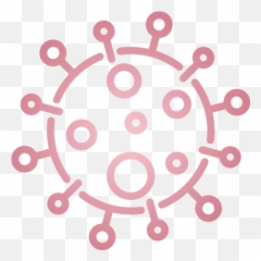 Same Day Rapid Covid Testing Near St Paul Euverita Png Antibody Icon