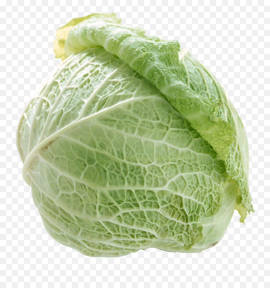 Cabbage Png Image - Cabbage Textures,Cabbage Png