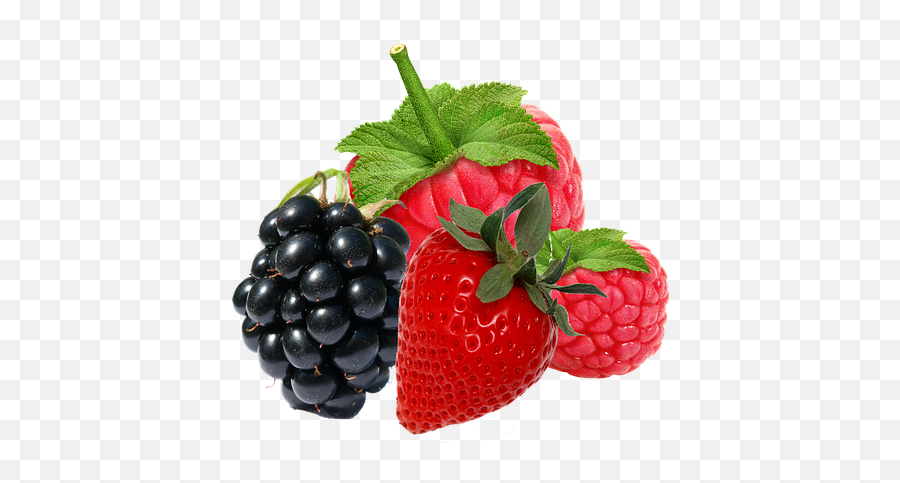 Png Transparent Berries - Fresh Berries Png,Berries Png