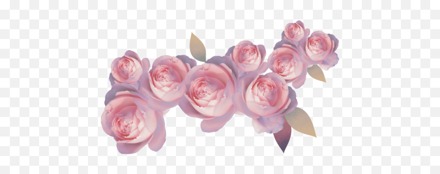 Pastel Plant Png 1 Image - Pastel Pink Roses Transparent,Pastel Flowers Png