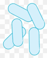 Bacteria Png Pic Mart - Clip Art,Bacteria Transparent Background