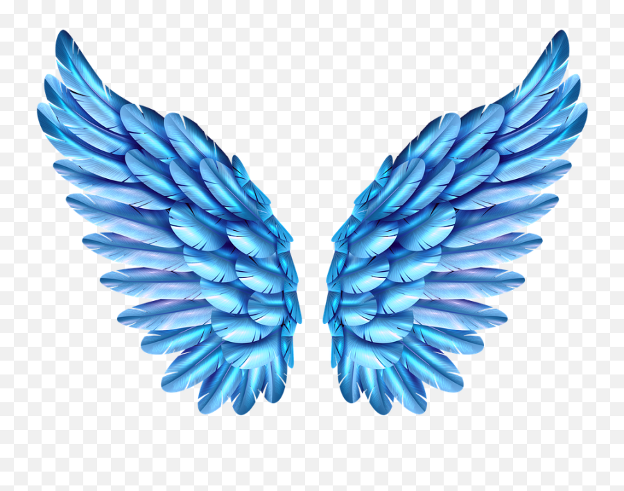 Blue Wings Butterfly - Free Image On Pixabay Colorful Angel Wings Png,Butterfly Wing Png