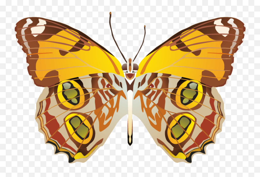 Butterfly Png Images Download Vector - Portable Network Graphics,Yellow Butterfly Png