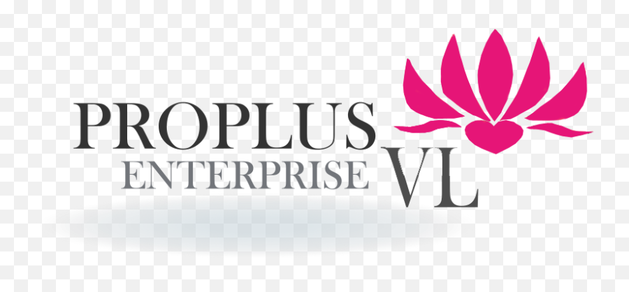 Proplusvl - Graphic Design Png,Vl Logo