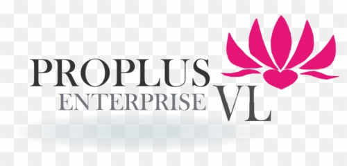 Proplusvl - Graphic Design Png,Vl Logo