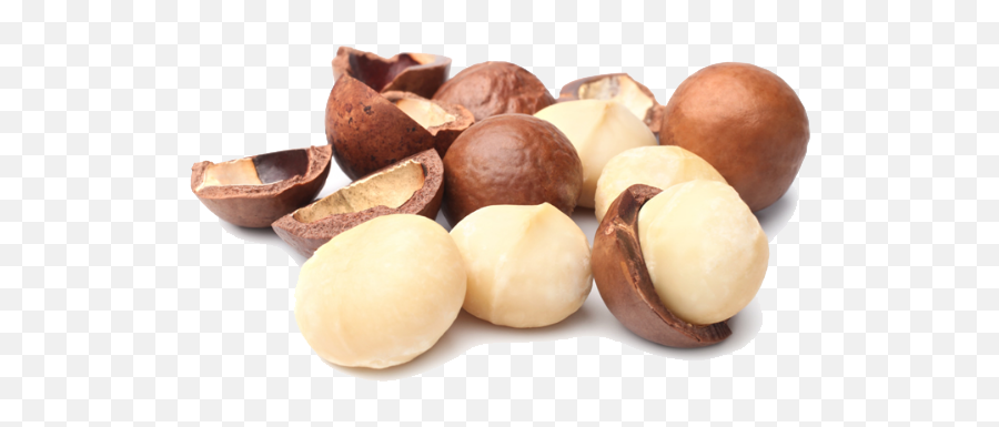 Macadamia Nuts Png Photo - Macadamia Nut,Nuts Png