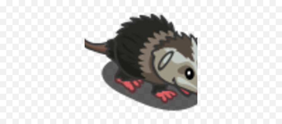 Opossum - Beaver Png,Opossum Png