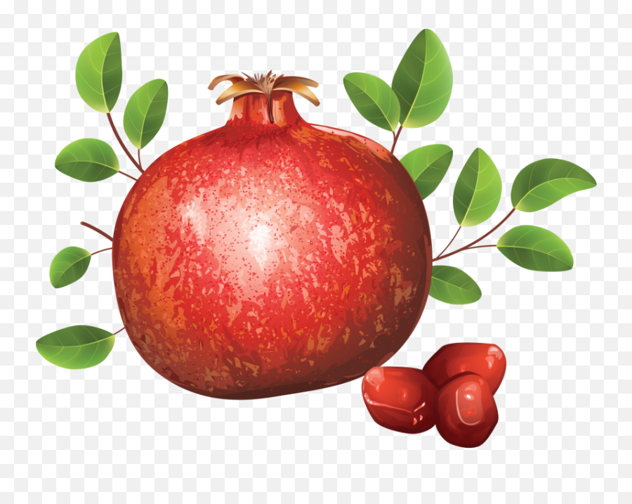 Pomegranate Png Red - Png,Pomegranate Png
