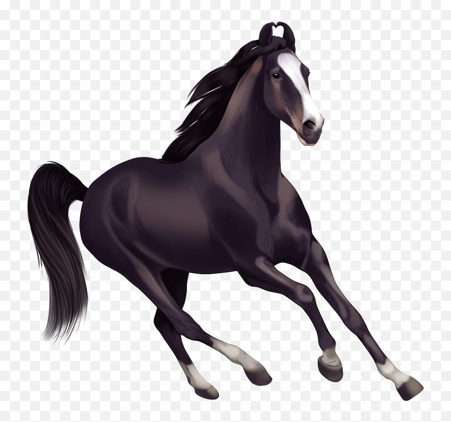 Marwari Horse Clipart - Horses Clipart Png,Horse Transparent