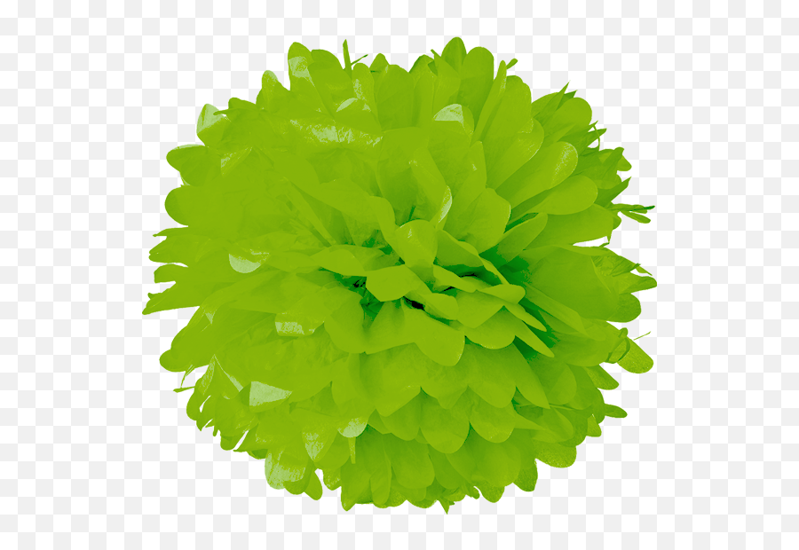 Green Apple Tissue Pom Poms - Pom Pom Png,Pom Pom Png