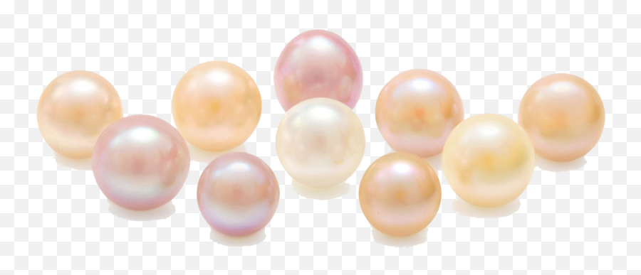 Pearl Png Images Transparent Background - Pearl,Pearl Transparent Background