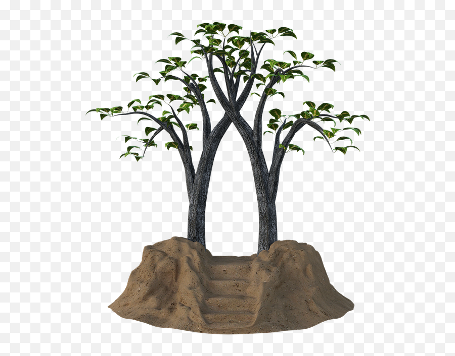 Portal Fantasy Trees - Fantasy Trees Png,Portal Png