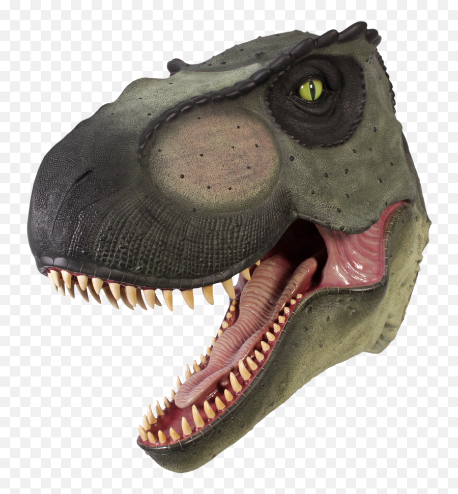 T - Tyrannosaurus Png,T Rex Png