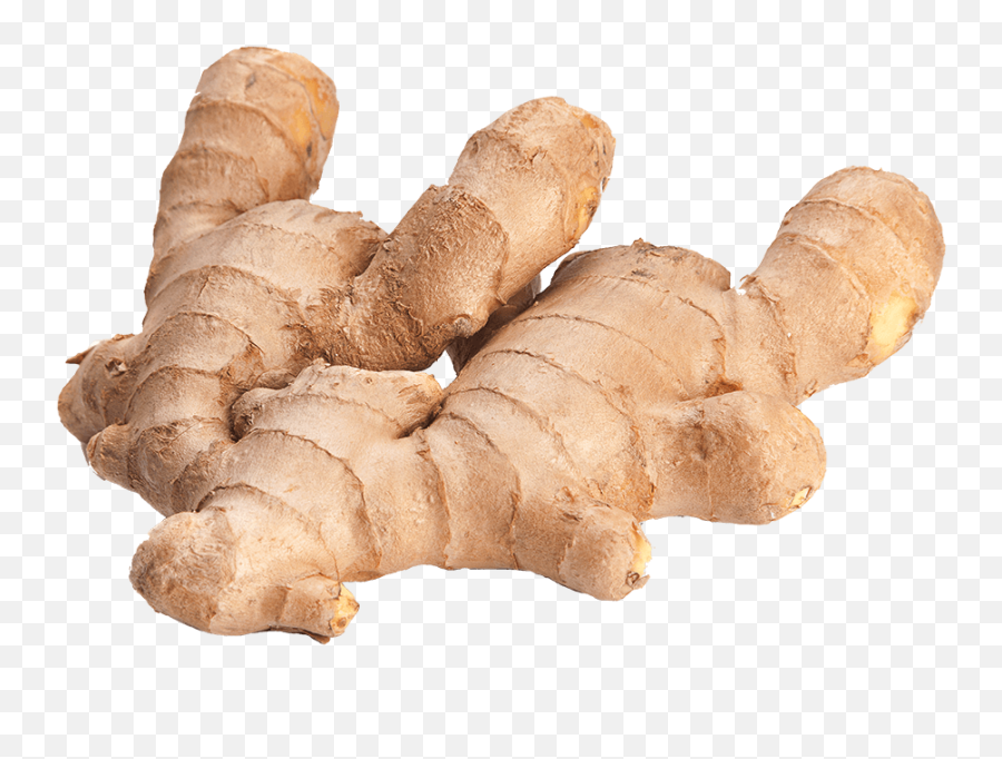 Ginger Hot Asian Plants - Healthiest Herbs And Spices Png,Fireball Transparent Background