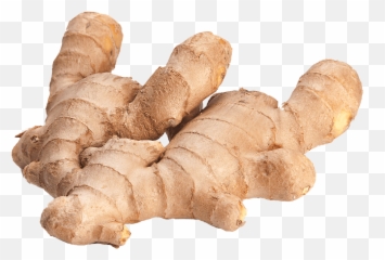 Ginger Hot Asian Plants - Healthiest Herbs And Spices Png,Fireball Transparent Background