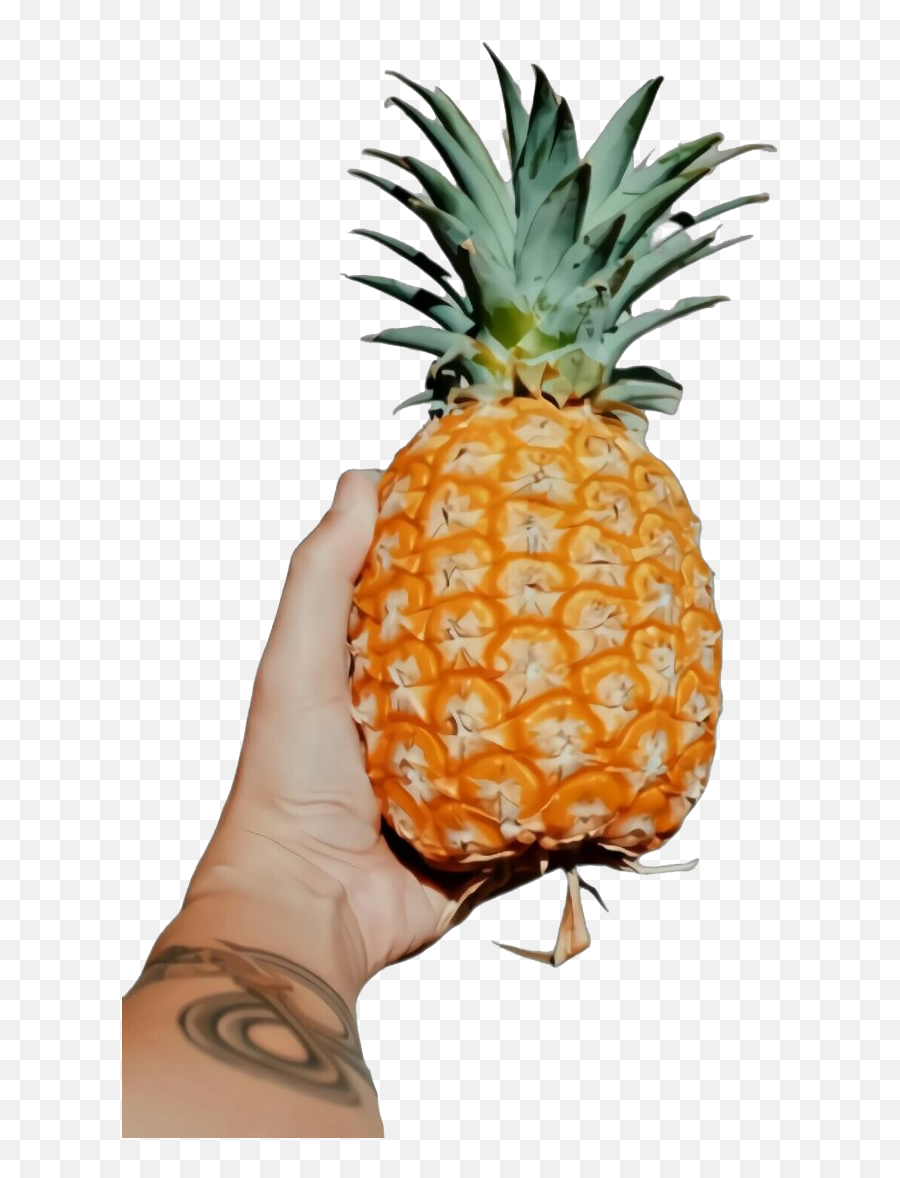 Fruits Png Images Real - Pineapple,Pineapple Png