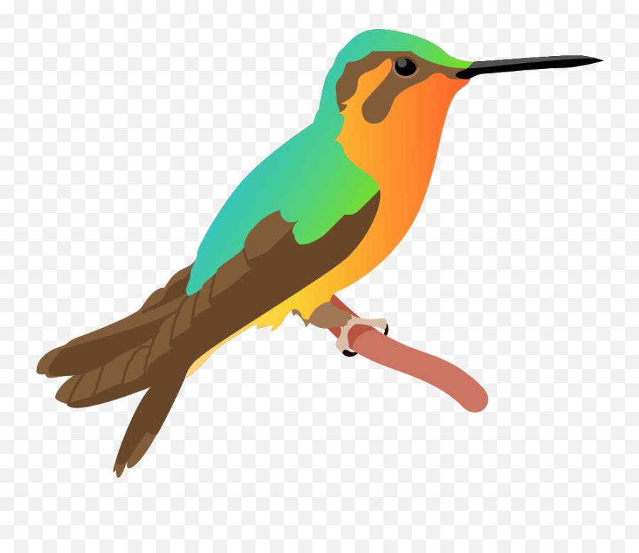 Download Hd Kingfisher Poster - Rubythroated Hummingbird Piciformes Png,Hummingbird Png