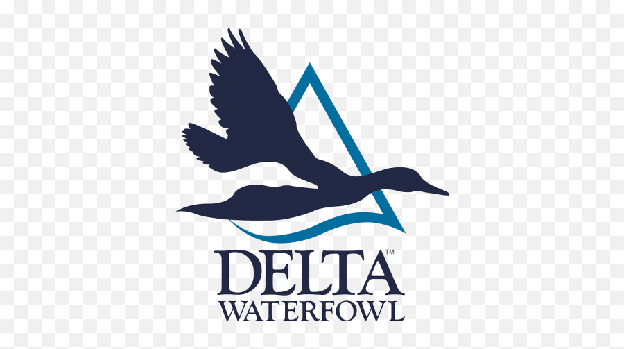 Delta - Waterfowlblueonbluelogo Anderson Bogert Delta Waterfowl Logo Png,Delta Logo Png