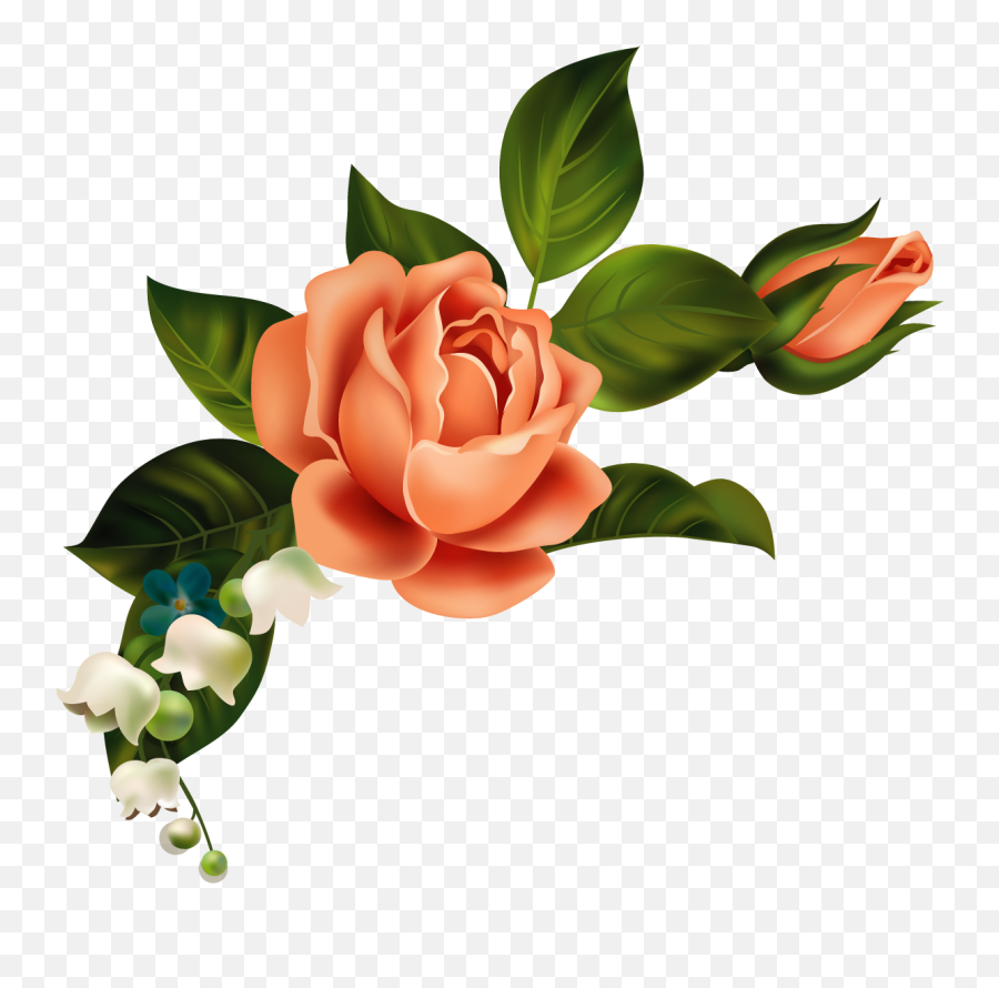 Download Orange Flower Clipart Corner - Youth Shawn Mendes Shawn Mendes Flowers Png,Orange Flower Png
