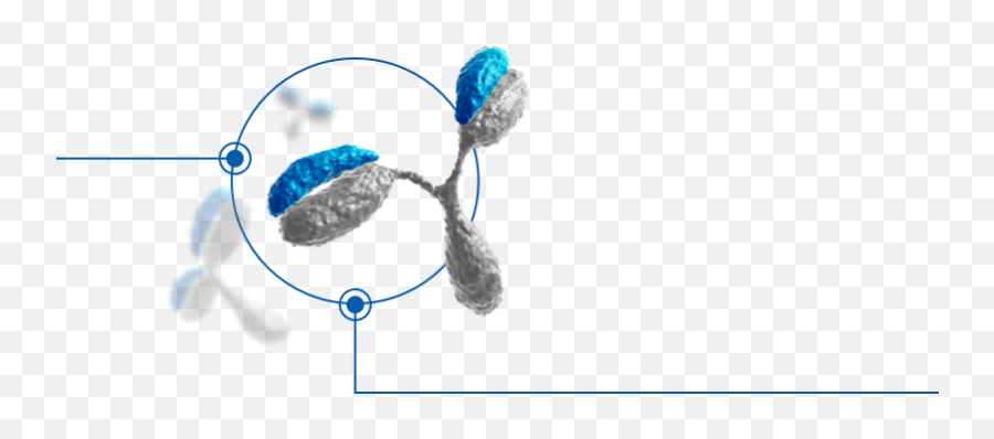 Antibody Medicines And Regeneron Technology - Covid 19 Antibody Cocktail Png,Antibody Png